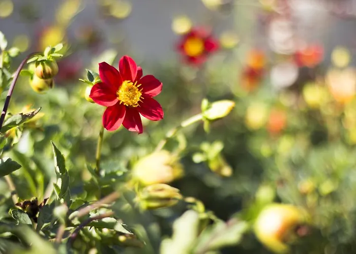 Milan Ξενοδοχείο